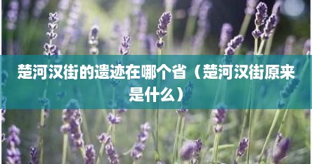 楚河汉街的遗迹在哪个省（楚河汉街原来是什么）