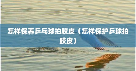 怎样保养乒乓球拍胶皮（怎样保护乒球拍胶皮）