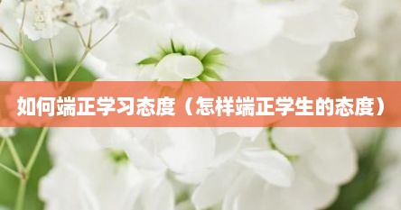 如何端正学习态度（怎样端正学生的态度）