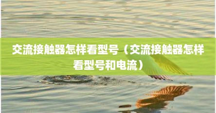 交流接触器怎样看型号（交流接触器怎样看型号和电流）