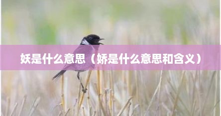 妖是什么意思（娇是什么意思和含义）