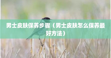 男士皮肤保养步骤（男士皮肤怎么保养最好方法）