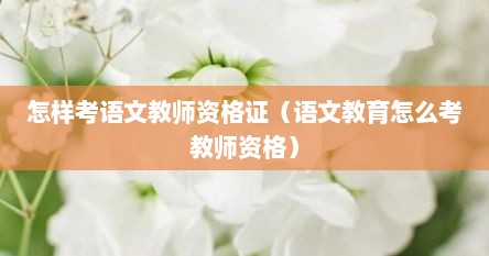 怎样考语文教师资格证（语文教育怎么考教师资格）