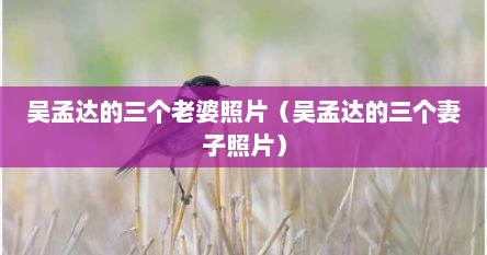 吴孟达的三个老婆照片（吴孟达的三个妻子照片）