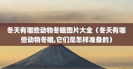 冬天有哪些动物冬眠图片大全（冬天有哪些动物冬眠,它们是怎样准备的）