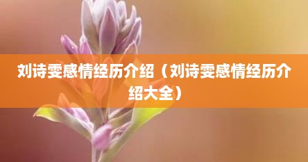 刘诗雯感情经历介绍（刘诗雯感情经历介绍大全）