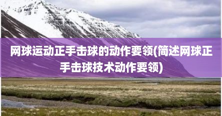 网球运动正手击球的动作要领(简述网球正手击球技术动作要领)