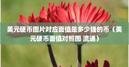 美元硬币图片对应面值是多少钱的币（美元硬币面值对照图 流通）