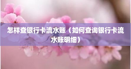 怎样查银行卡流水账（如何查询银行卡流水账明细）
