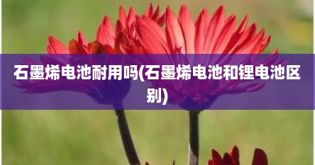 石墨烯电池耐用吗(石墨烯电池和锂电池区别)