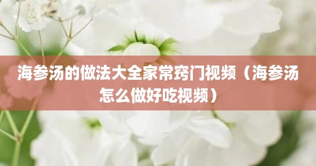 海参汤的做法大全家常窍门视频（海参汤怎么做好吃视频）