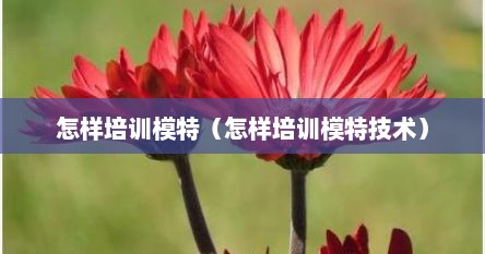怎样培训模特（怎样培训模特技术）