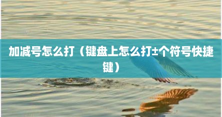 加减号怎么打（键盘上怎么打±个符号快捷键）