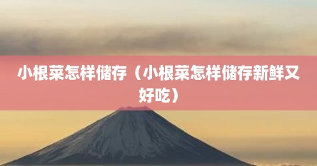小根菜怎样储存（小根菜怎样储存新鲜又好吃）