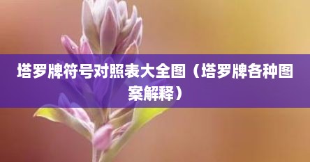 塔罗牌符号对照表大全图（塔罗牌各种图案解释）
