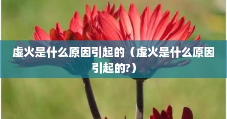 虚火是什么原因引起的(虚火是什么原因引起的?)
