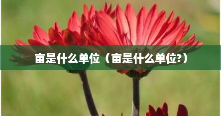 亩是什么单位（亩是什么单位?）