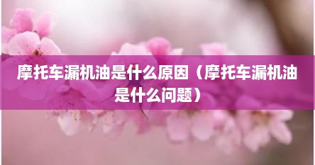 摩托车漏机油是什么原因（摩托车漏机油是什么问题）