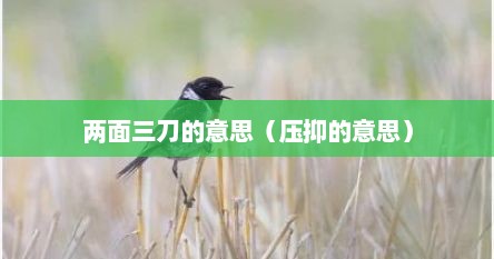 两面三刀的意思（压抑的意思）