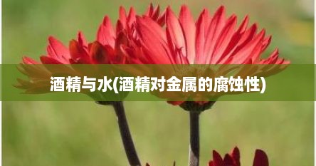 酒精与水(酒精对金属的腐蚀性)