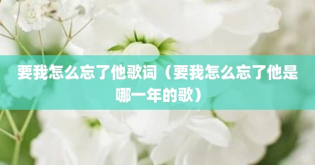 要我怎么忘了他歌词（要我怎么忘了他是哪一年的歌）