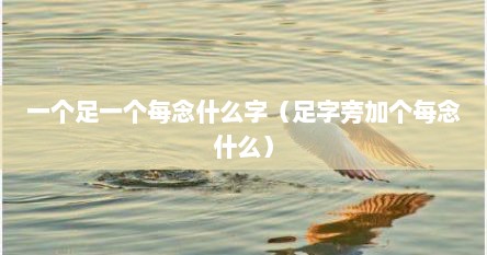 一个足一个每念什么字（足字旁加个每念什么）
