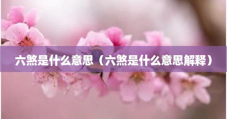 六煞是什么意思（六煞是什么意思解释）