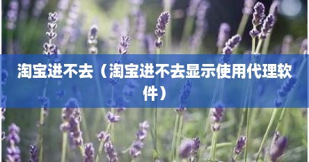 淘宝进不去（淘宝进不去显示使用代理软件）