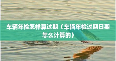 车辆年检怎样算过期（车辆年检过期日期怎么计算的）