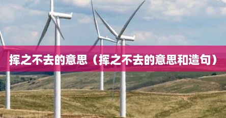 挥之不去的意思（挥之不去的意思和造句）