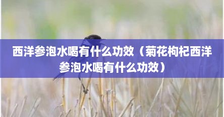西洋参泡水喝有什么功效（菊花枸杞西洋参泡水喝有什么功效）