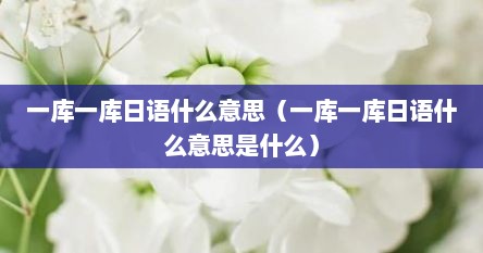 一库一库日语什么意思（一库一库日语什么意思是什么）