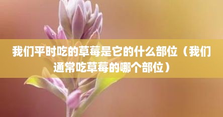 我们平时吃的草莓是它的什么部位（我们通常吃草莓的哪个部位）