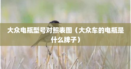 大众电瓶型号对照表图（大众车的电瓶是什么牌子）