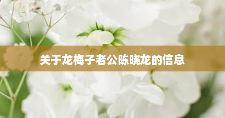 关于龙梅子老公陈晓龙的信息