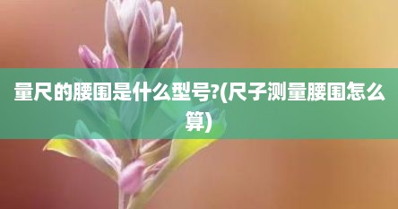 量尺的腰围是什么型号?(尺子测量腰围怎么算)