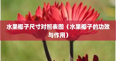 水果椰子尺寸对照表图（水果椰子的功效与作用）