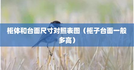 柜体和台面尺寸对照表图（柜子台面一般多高）