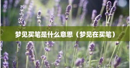 梦见买笔是什么意思（梦见在买笔）