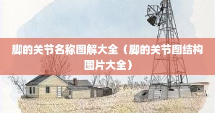 脚的关节名称图解大全（脚的关节图结构图片大全）