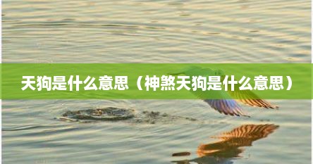 天狗神煞查法（八字神煞 天狗）