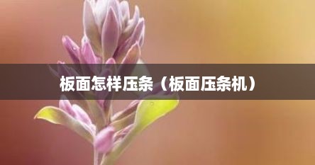 板面怎样压条（板面压条机）