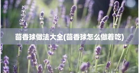 茴香球做法大全(茴香球怎么做着吃)