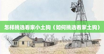 怎样挑选看家小土狗（如何挑选看家土狗）
