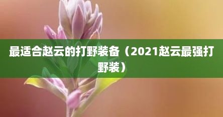 最适合赵云的打野装备（2021赵云最强打野装）