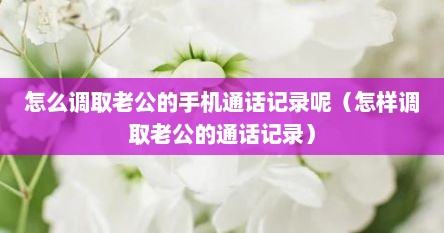 怎么调取老公的手机通话记录呢（怎样调取老公的通话记录）