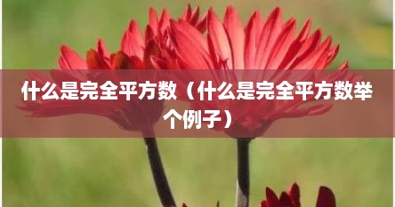 什么是完全平方数（什么是完全平方数举个例子）