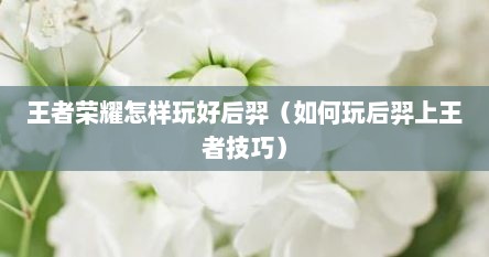王者荣耀怎样玩好后羿（如何玩后羿上王者技巧）