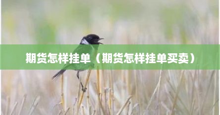期货怎样挂单（期货怎样挂单买卖）