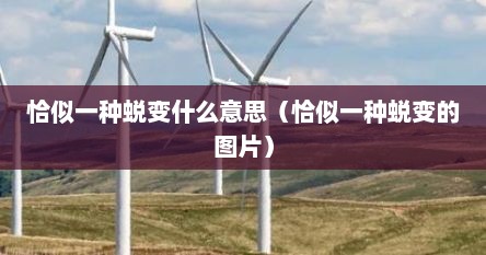 恰似一种蜕变什么意思（恰似一种蜕变的图片）